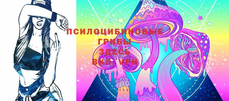 МЕГА как зайти  Ливны  это официальный сайт  Псилоцибиновые грибы Cubensis 